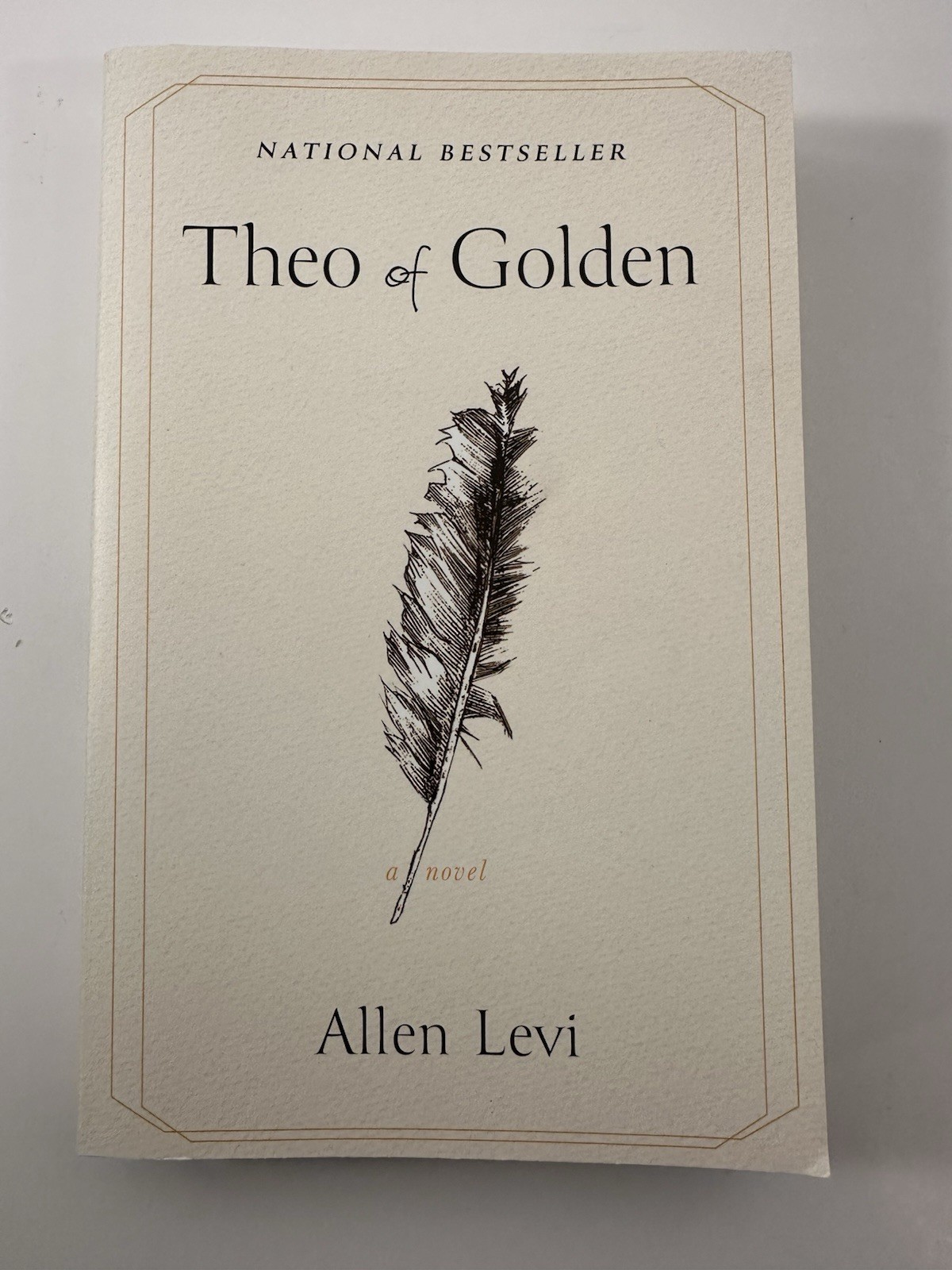 Theo of Golden Allen Levi Paperback Book 2023 Used