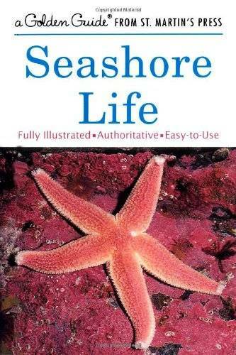 Seashore Life (A Golden Guide from St. Martin’s Press) – Paperback – GOOD
