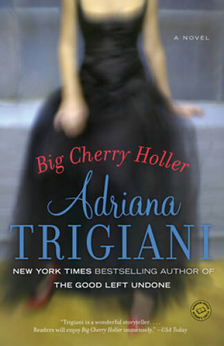 Big Cherry Holler: A Novel (Ballantine Reader’s Circle) – Paperback – GOOD