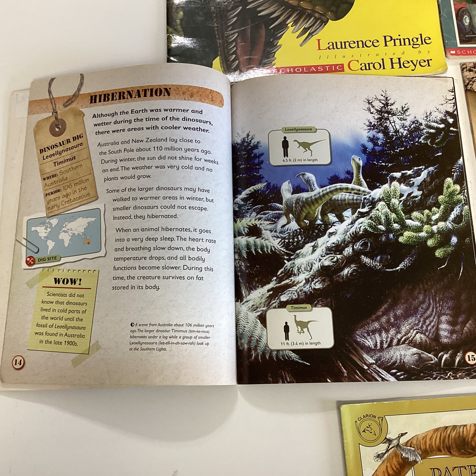 Dinosaur Informational Educational 2nd 3rd 4th Grade 16 Children’s Book Lot