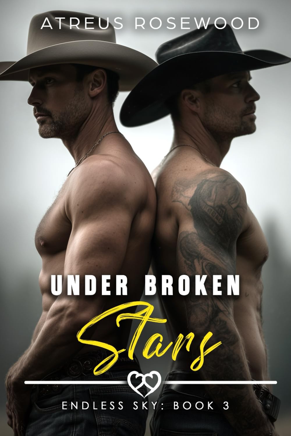 Under Broken Stars: A MM Forced Marriage Mafia Cowboy Romance (Endless Sky C…