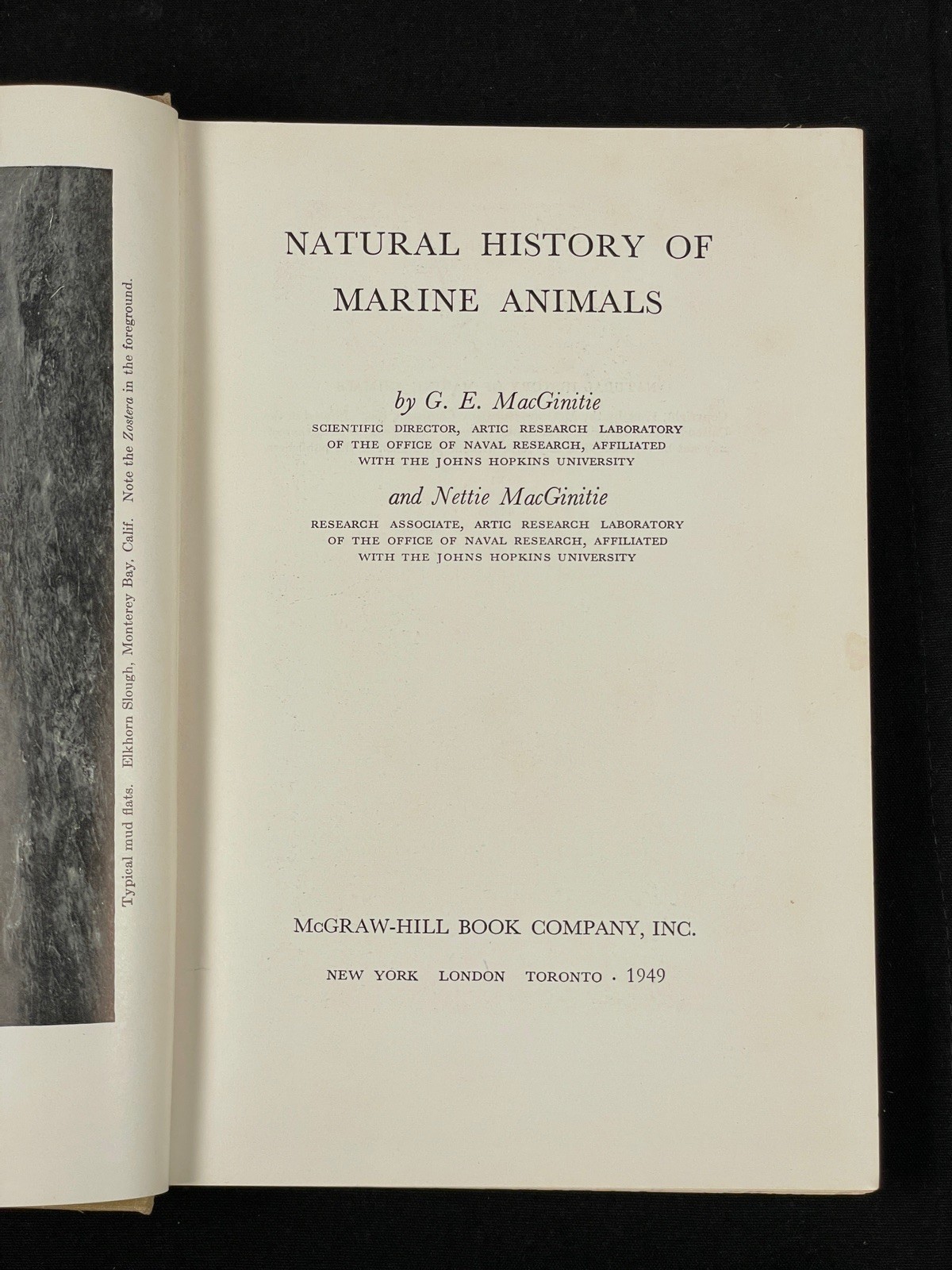 Natural History of Marine Animals by G.E. MacGinitie Hardcover Ocean
