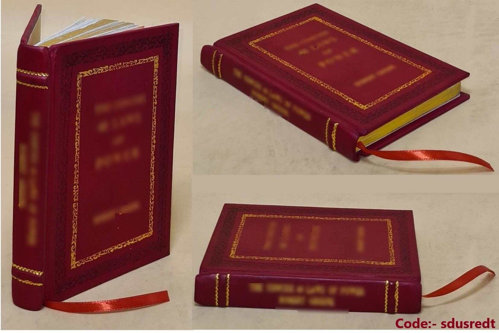 Structure, Consequences, and Authority BY Noble, Jennife [Premium Leather Bound]
