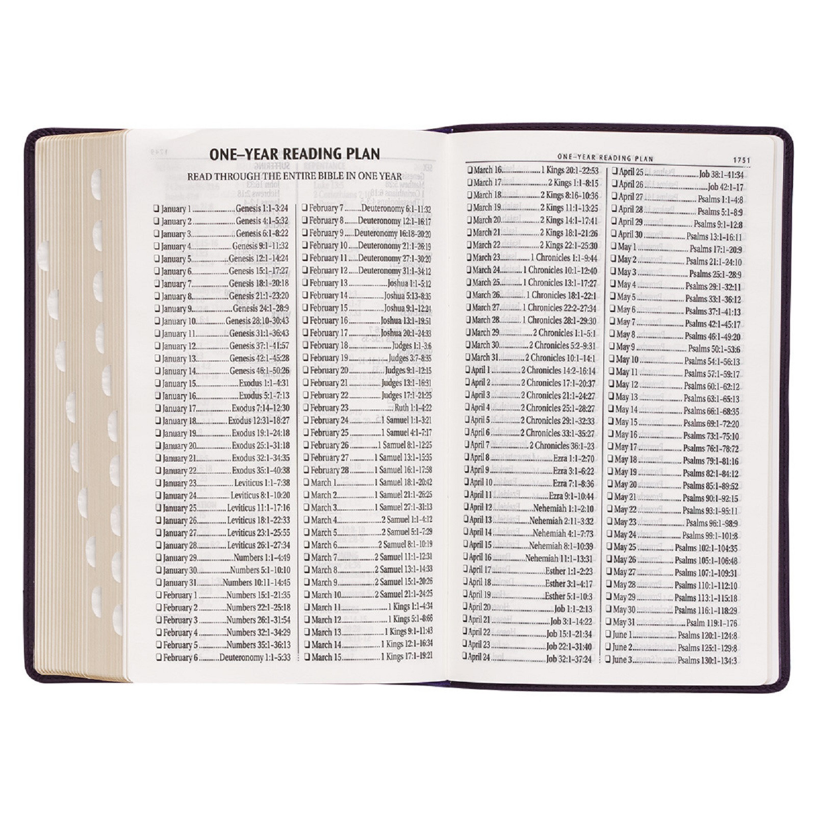 KJV Bible Giant Print 14 Point Purple Thumb Index BRAND NEW in Shrink Wrap!!!