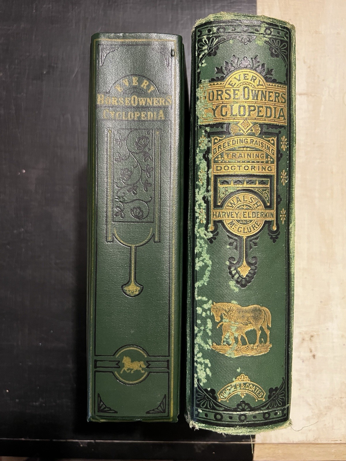 Every Horse Owners’ Cyclopedia – Diseases, And How To Cure Them 1875 & 1971