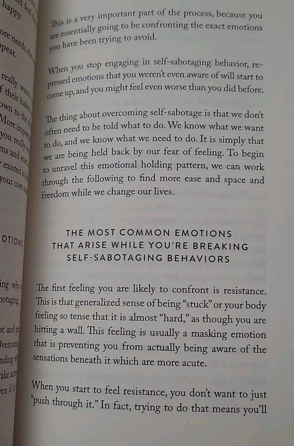 The Mountain Is You: Transforming Self-Sabotage Into Self-Mastery Paperback