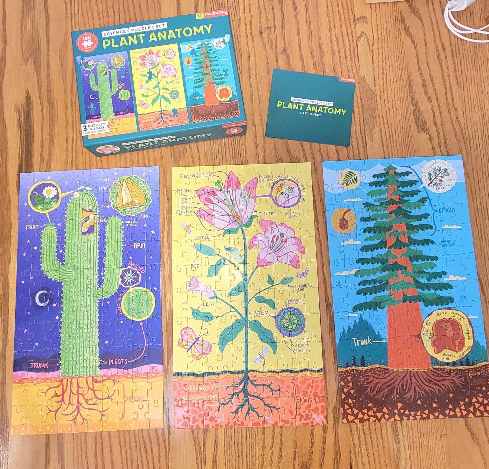 Plant Anatomy Puzzle (3 puzzles in 1 box) 100 Pcs Each Mudpuppy