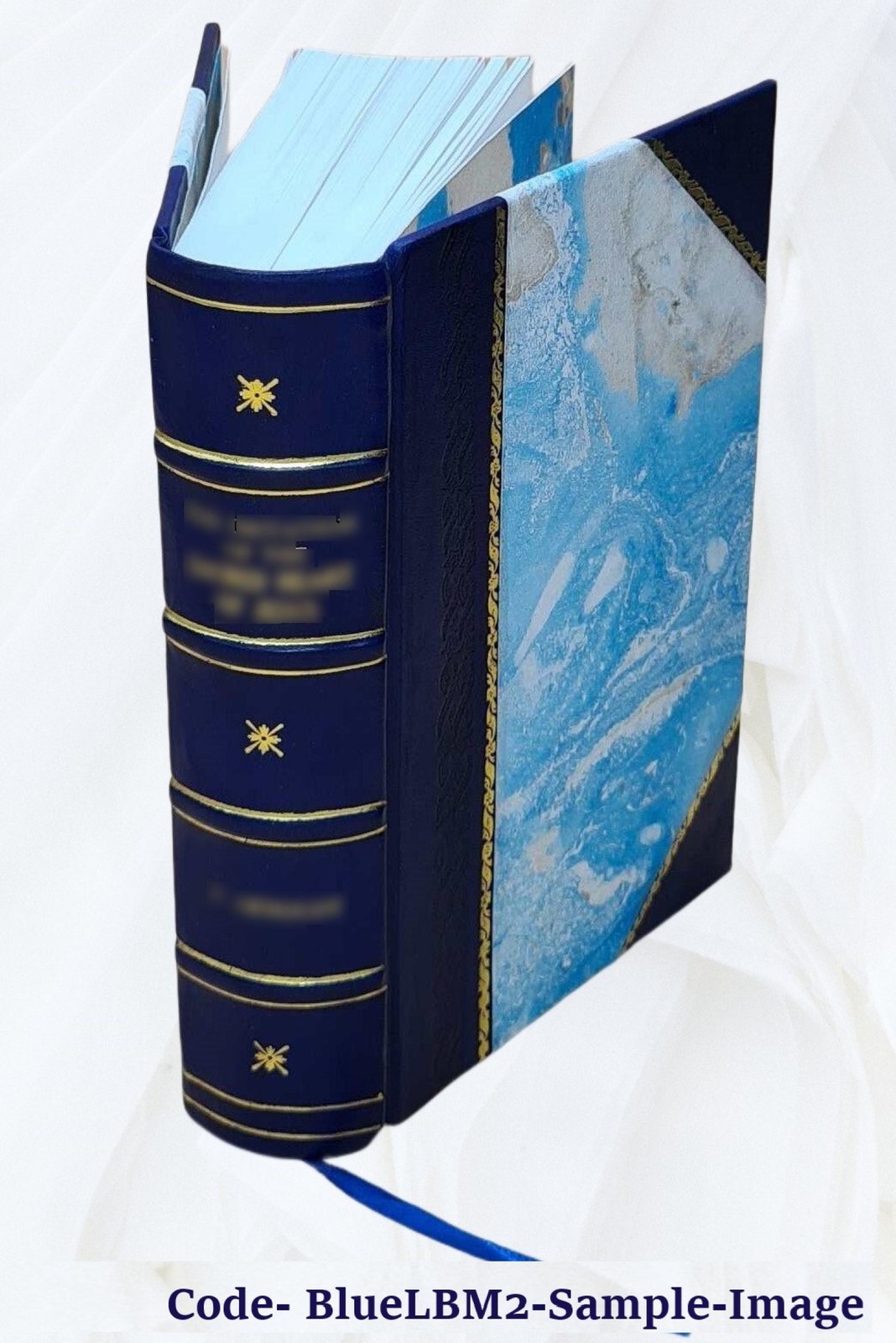 The progresses and public processions of Queen Elizabe V. 3 1823 [Leather Bound]
