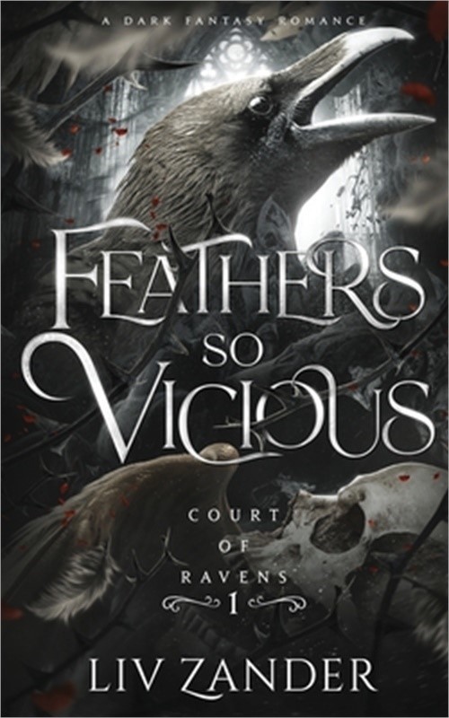 Feathers so Vicious: A Dark Fantasy Romance (Paperback or Softback)