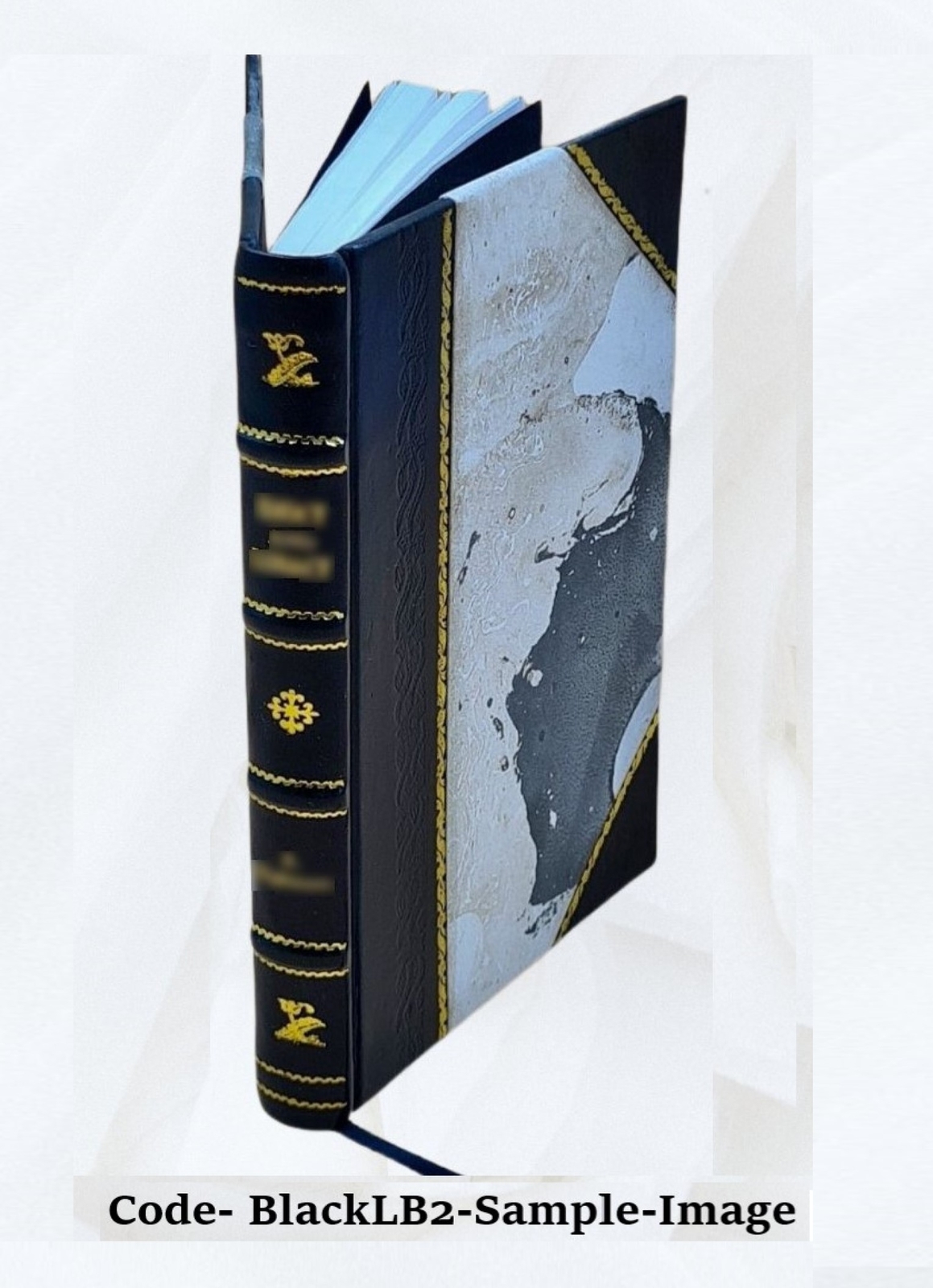 The Lady’S Manual Of Homeopathic Treatment In The Various Derang [Leather Bound]