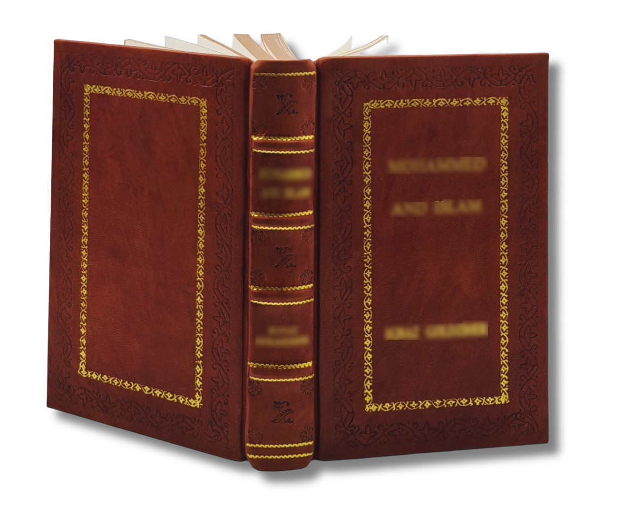 Theo of Golden: A Novel By Allen Levi [Royal Edition]